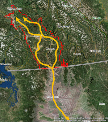 Okanagan-gene-flow-badgers-350